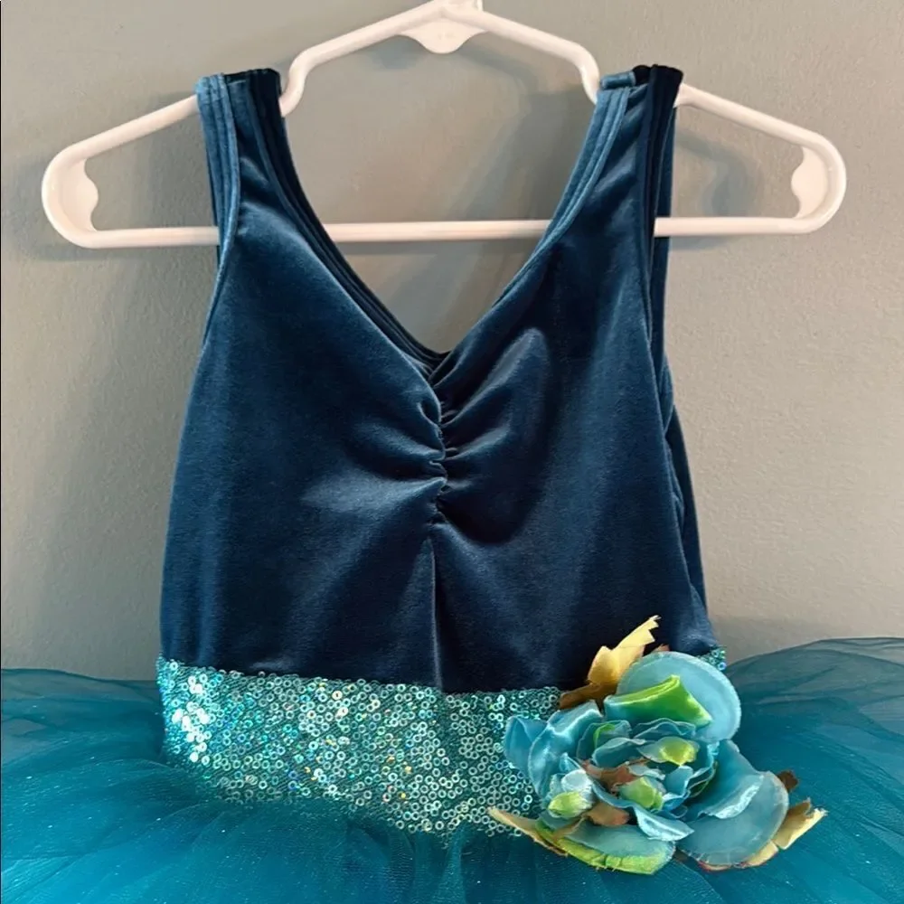 Girl’s Small blue Ballet Tutu Dress Dance Fairy Princess dress ~ Dress Up